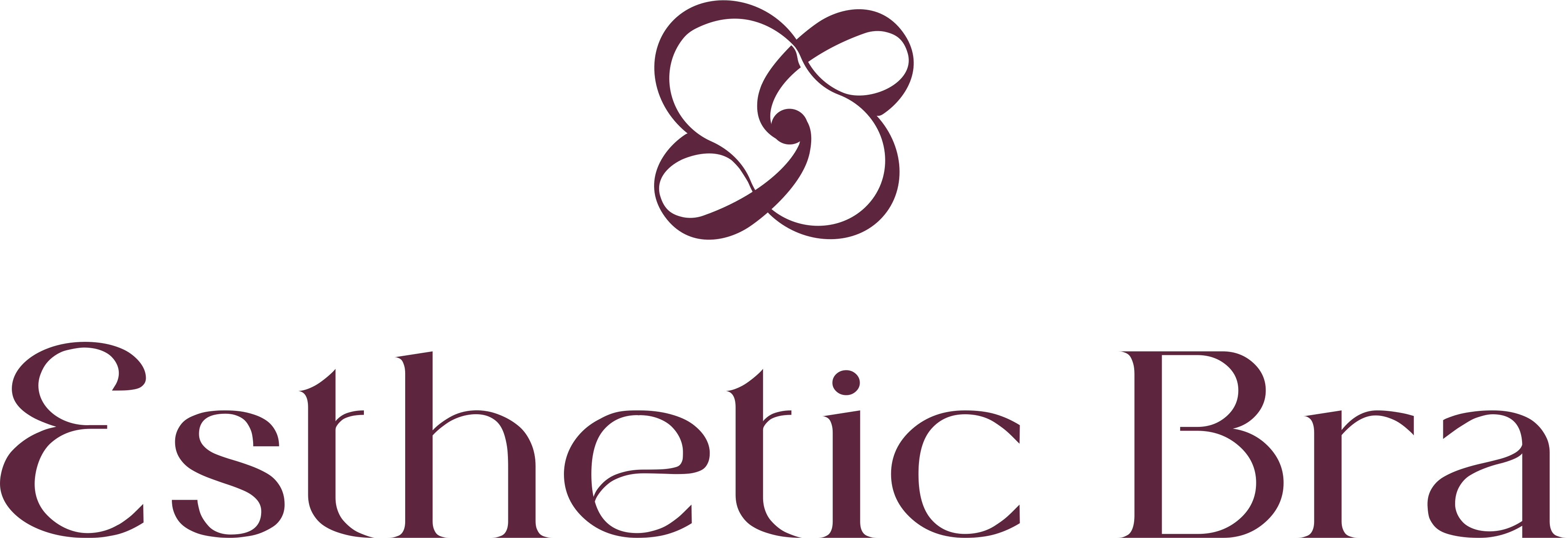Esthetic Bra